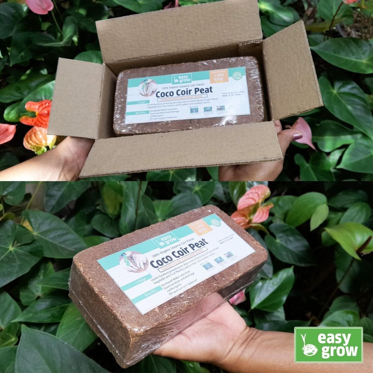 650g Coco Peat Briquette view 5