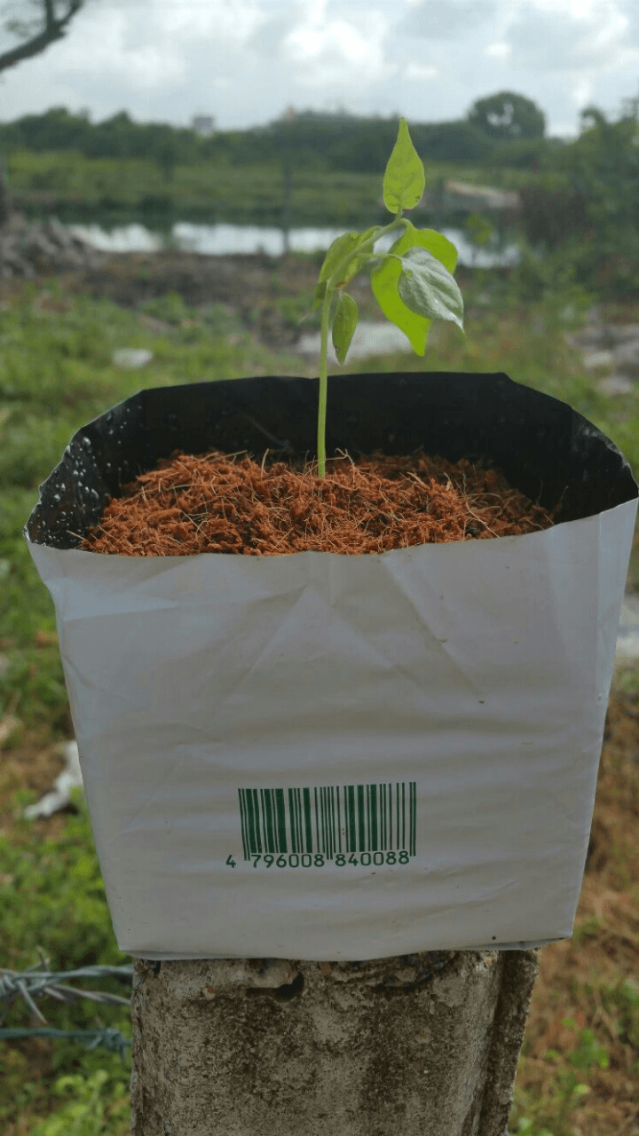 Coco Peat Planter Bags view 2