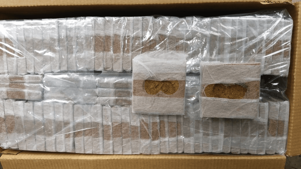 Coco Peat Grow Cube