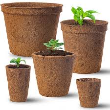 Own Washing Plants