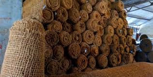 Advanced Natural Drying Facilities